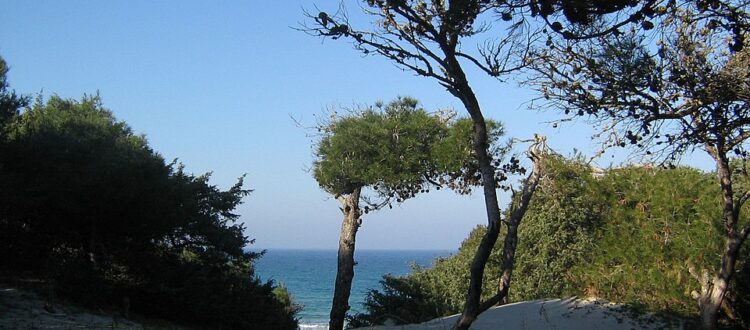 Torre dell'Orso tra storia e mito