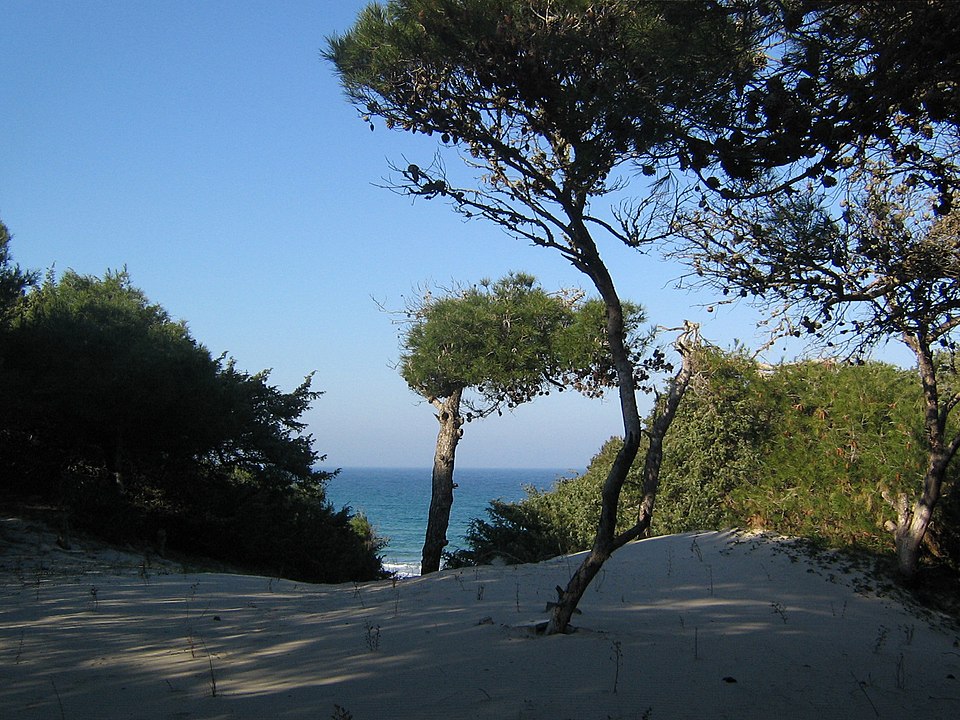 Torre dell'Orso tra storia e mito